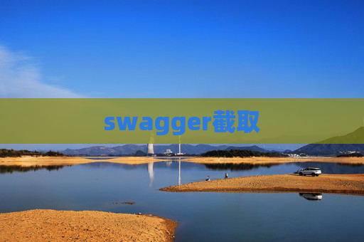 swagger截取